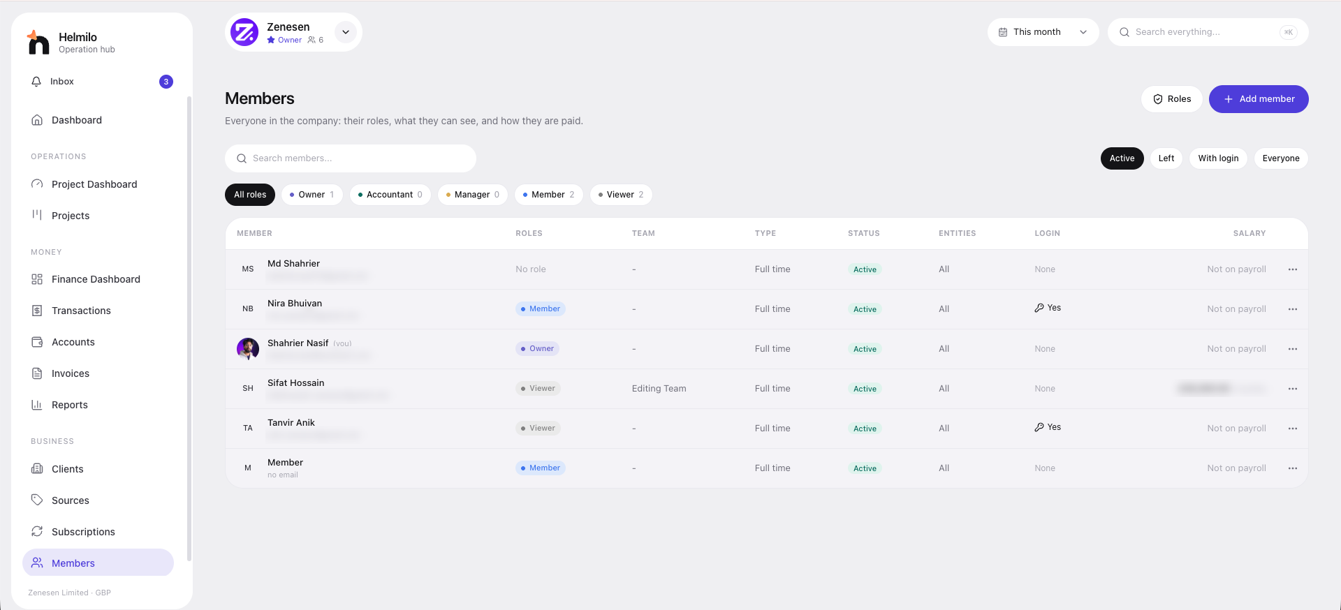 Helmilo Members page listing team members with roles such as Owner, Member and Viewer, team, type, status and login access.